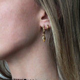 Bruine kraaltjes kort-goud