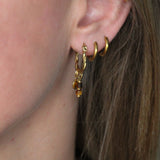 Bruine kraaltjes kort-goud