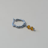 Bruine glanskraaltjes-zilver