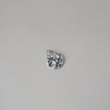 Munt met motief- zilver